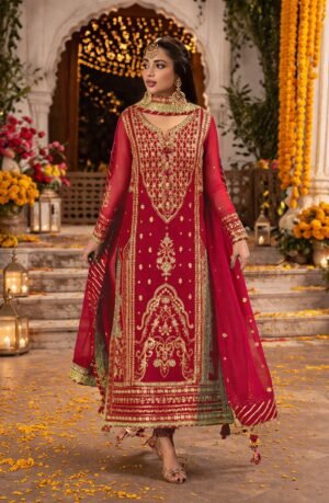 Georgette With Sequence Embroidery Work