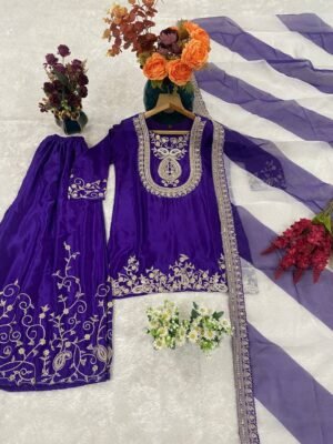 Alternative view of stitched (AK-95) AK collection is Launching New Festival  Plazza pair