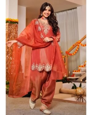 Alternative view of stitched (AK-116)*2 COLOUR   AK collection is Launching New Festival   pair