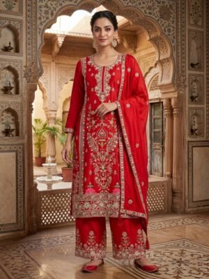 stitched (AK-5062) :Pure Heavy Chinnon Silk With Heavy Embroidery Coding Sequence Work