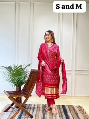 stitched AK  751 PRESERNTING NEW  STYLISH DESIGNER HEAVY  CODING  EMBROIDERY WORK WITH PENT AK 751