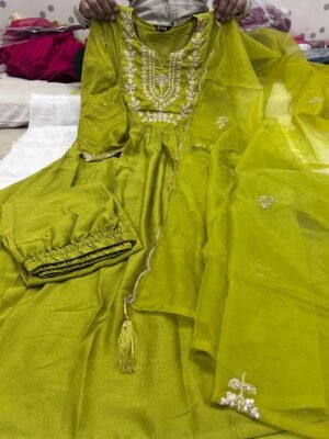 Alternative view of stitched Women's premium Vichitra Silk Embroidered Flared Kurta with Pant And Dupatta Sets