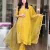 PRESERNTING NEW  STYLISH DESIGNER HEAVY  CODING  EMBROIDERY WORK WITH PENT