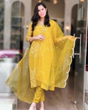 PRESERNTING NEW  STYLISH DESIGNER HEAVY  CODING  EMBROIDERY WORK WITH PENT