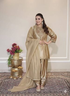 EXCLUSIVE AND TRENDY FOR WEDDING SEASON OUT SEQUENCE EMBROIDERED TOP, SALWAAR AND DUPATTA