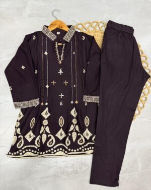 Pure cotton printed top with elegant Kantha work