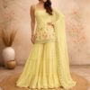 Designer Plazzo Style with Statement Embroidery