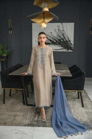 Today We are Launching Exclusively Readymade Pakistani Suits & Party Wear Collection