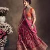 AK Creation is New Launching Festival Bridel Lehenga Choli