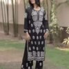 Premium Reyon cotton Top with beautiful chikankari work on yoke & Reyon pent