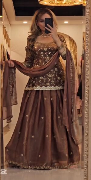 Heavy Fandy Silk With Sequence Fancy Border Work (dupatta size 2.30 meter)