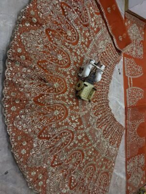 Alternative view of AK Launching  4 Meter Flared Premium Butterfly Net Lehenga