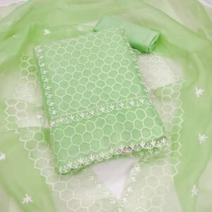 Exclusive Dress Material Suit