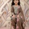 Trending Beautiful Embroidery Sequence Work Set