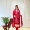 PRESERNTING NEW  STYLISH DESIGNER HEAVY  CODING  EMBROIDERY WORK WITH PENT