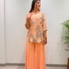 TOP AND PLAZZO WITH GEORGETTE FABRIC TRY OUR DESIGNER TOW PIECE ARTICLE, TOP AND PLAZZO WITH SEQUENCE EMBROIDERY WORK